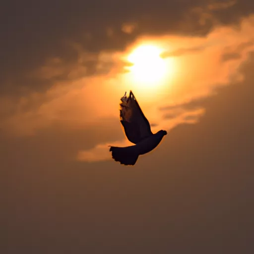 Early Bird tracking