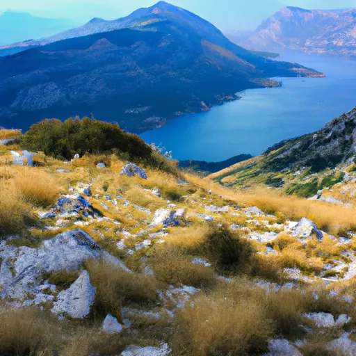 Montenegro Post tracking