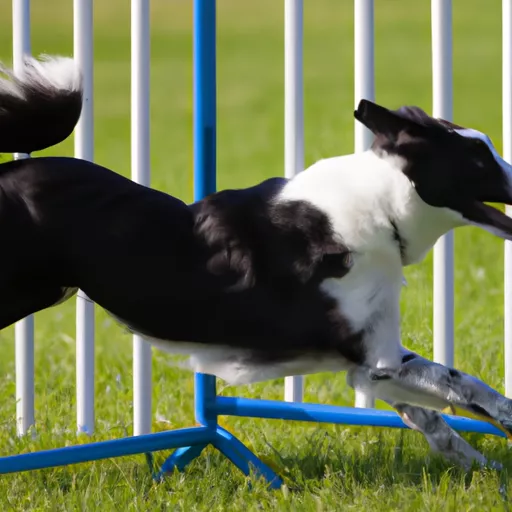 Agility tracking